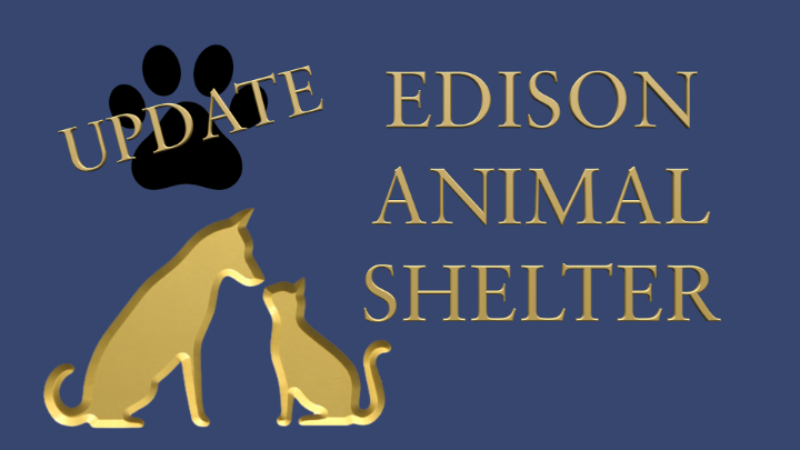 Thumbnail image for Edison Animal Shelter Update